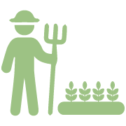 Imagen no encontrada